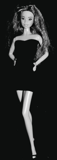 Barbie Fashionistas N°206
