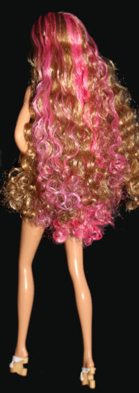 Barbie Fashion Frontier