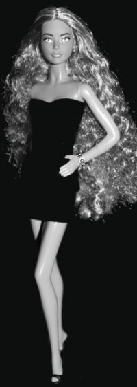 Barbie Fashion Frontier