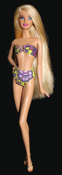 Barbie A Perfect Christmas - Singing Set