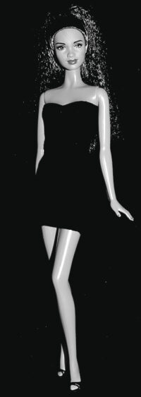 Barbie Fashionistas N°56