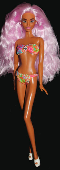 Barbie Deluxe Style 1