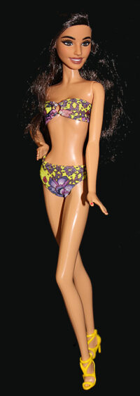 Barbie Fashionistas N°234