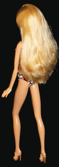 Barbie Fashionistas N°222