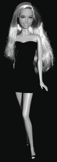 Barbie Fashionistas N°222