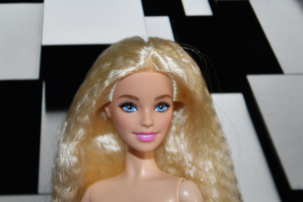 Barbie Fashionistas N°223