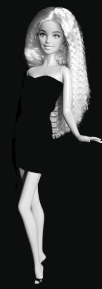 Barbie Fashionistas N°223