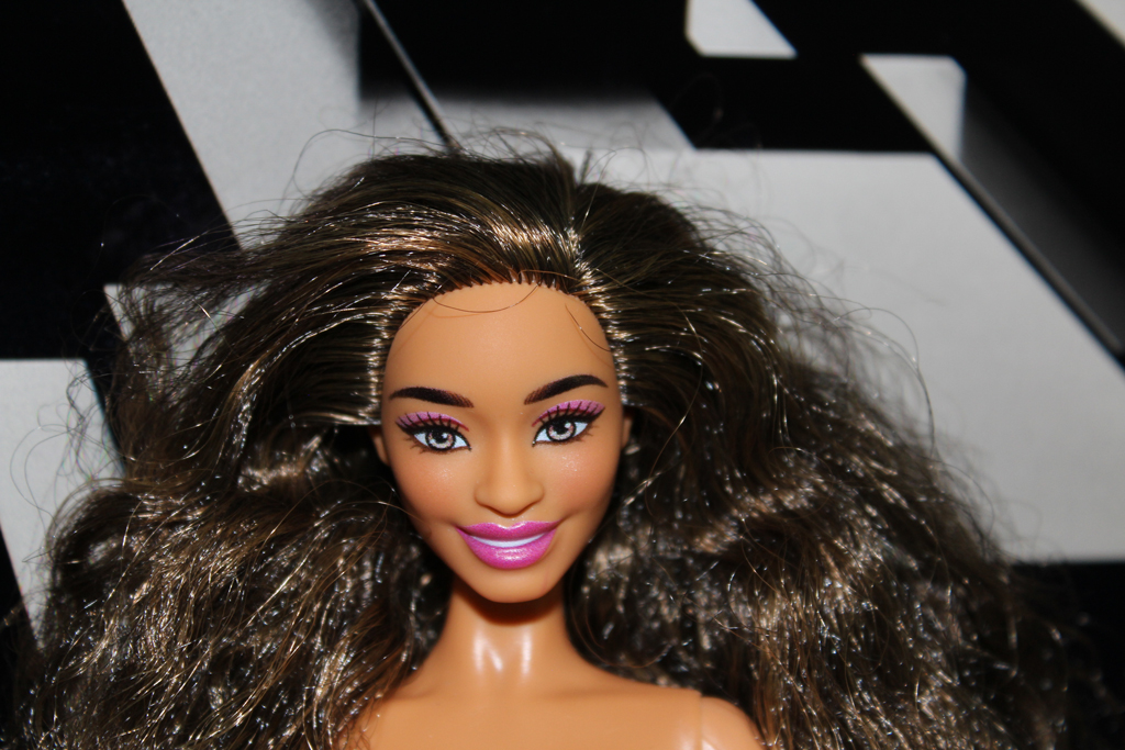Barbie Fashionistas N°225