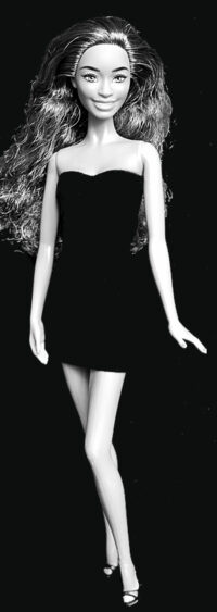Barbie Fashionistas N°225