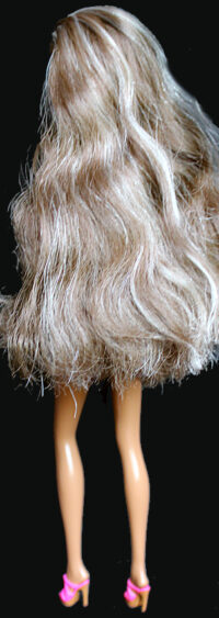 Barbie Color Reveal Wave 8 - Party