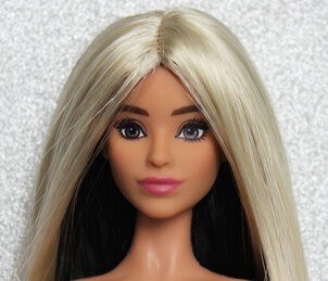 Barbie Fashionistas N°188 Rerooted