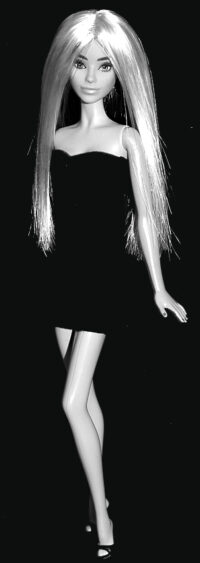 Barbie Fashionistas N°188 Rerooted