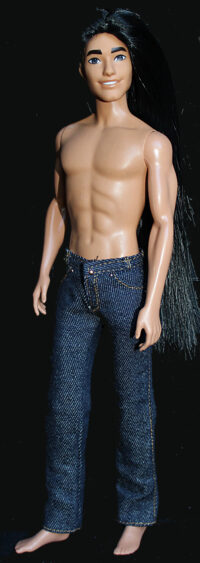 Ken Fashionistas N°236 (Rerooted)