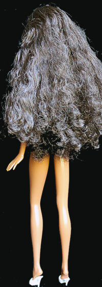 Barbie Fashionistas N°240