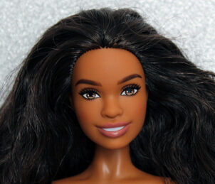 Barbie Fashionistas N°240