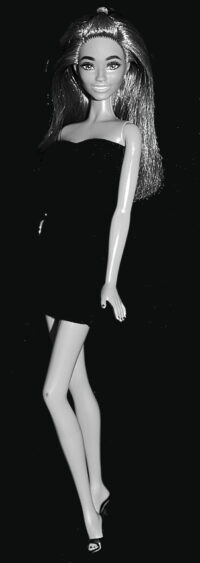 Barbie Fashionistas N°217