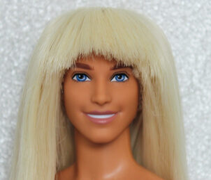 Ken Fashionistas N°211 (Rerooted)