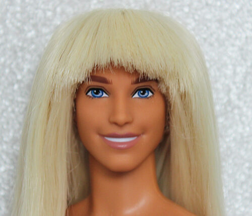 Ken Fashionistas N°211 (Rerooted)