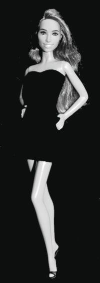 Barbie Fashionistas N°242