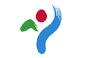 Drapeau Seoul