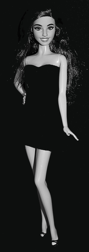 Barbie Fashionistas N°234