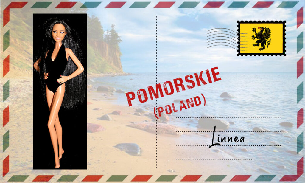 Barbie Fashionistas N°157 - rerooted