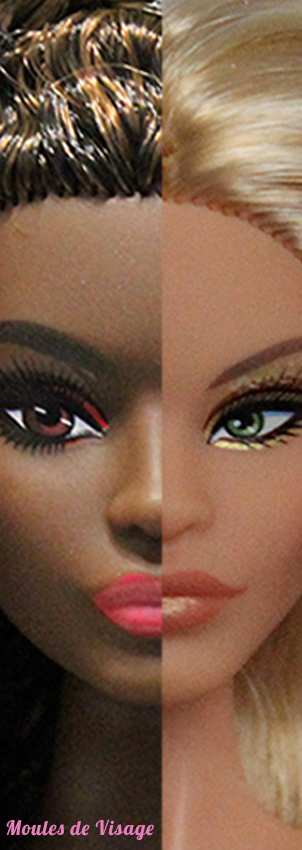 Moules de Visage