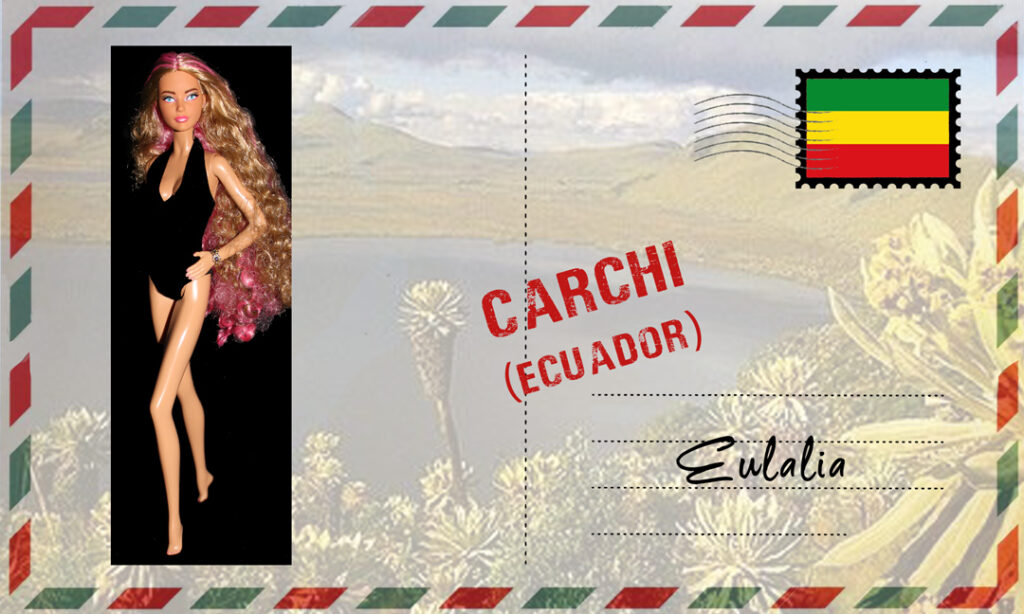 Barbie Fashion Frontier