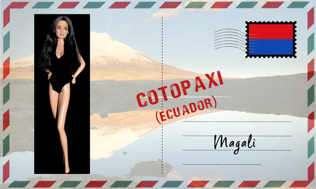 Barbie RBD Set Of 5 Fashion Dolls - Lupita