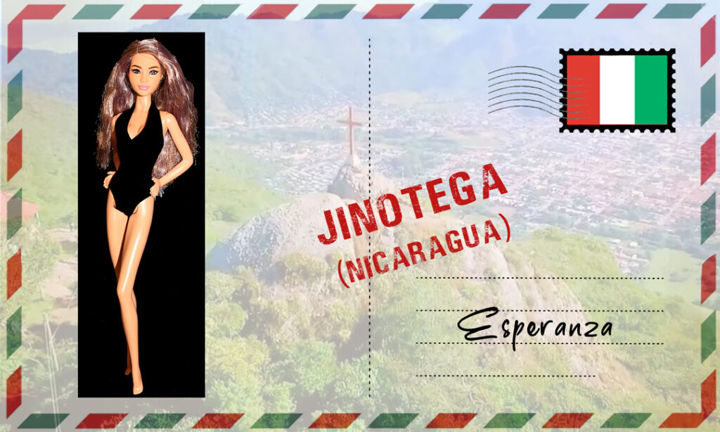 Barbie Fashionistas N°244