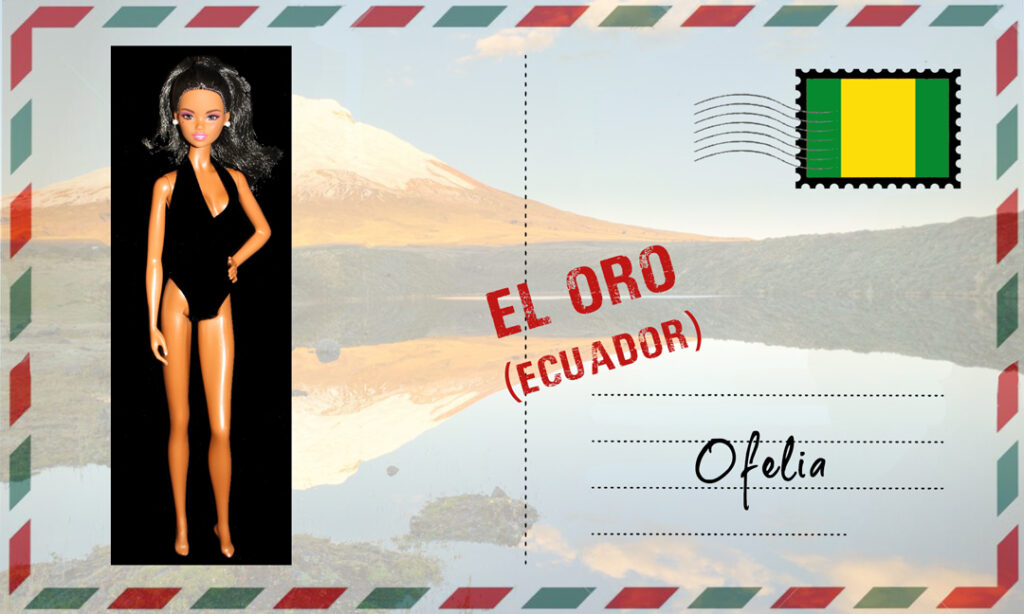 Barbie Ballet Wishes African American