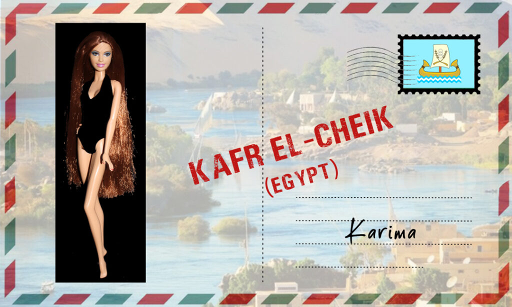 Barbie Fashionistas (rerooted)