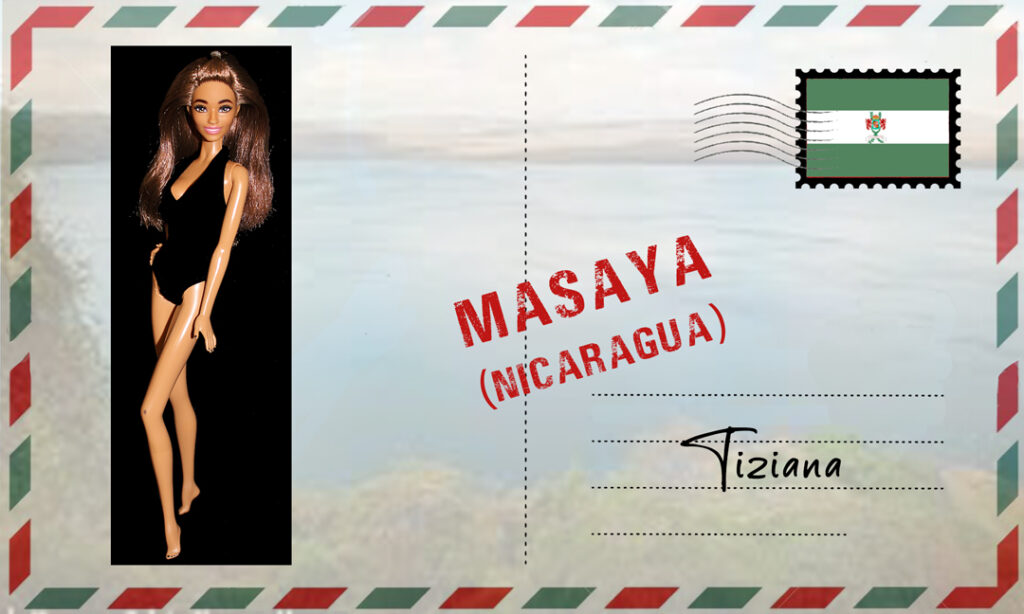 Barbie Fashionistas N°217