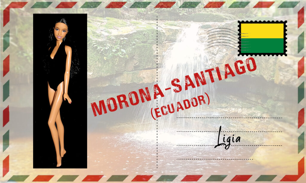 Barbie Fashionistas N°245