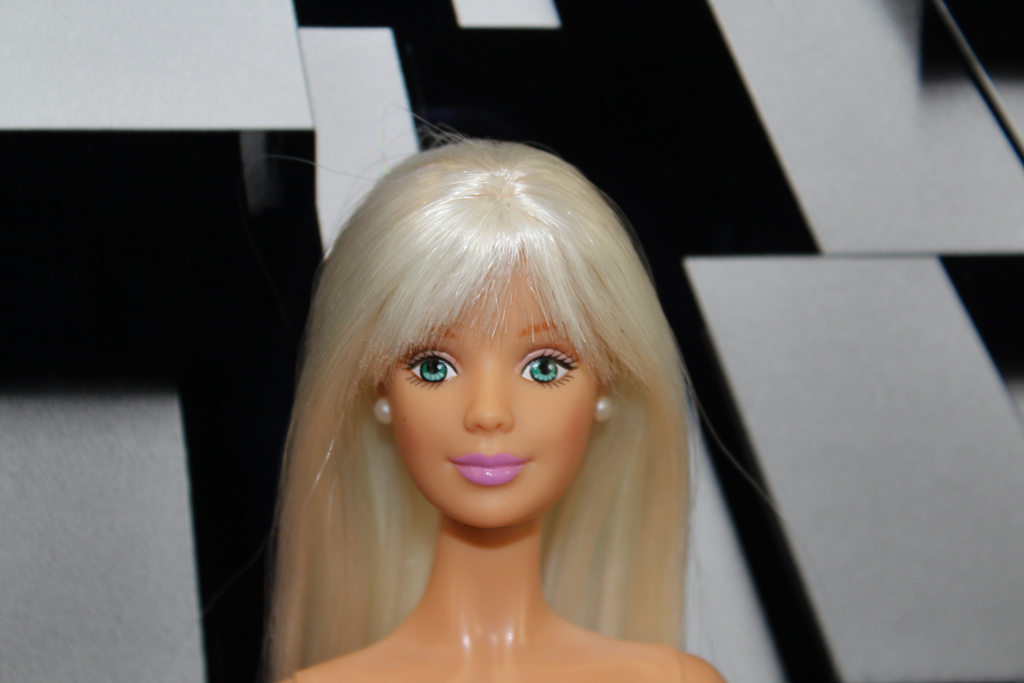 Barbie Pilote Rerooted