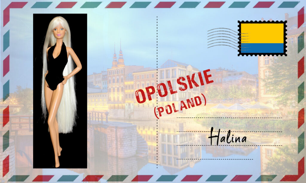 Barbie Pilote Rerooted