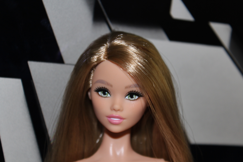 Barbie Fashionistas Style n°249