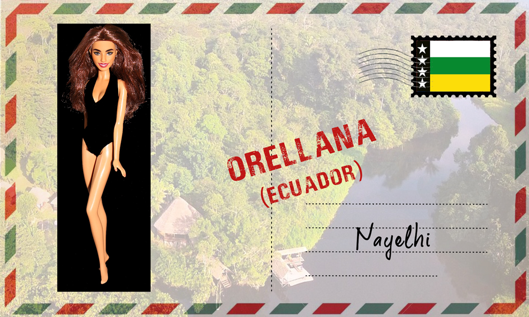 Barbie Fashionistas Style n°250